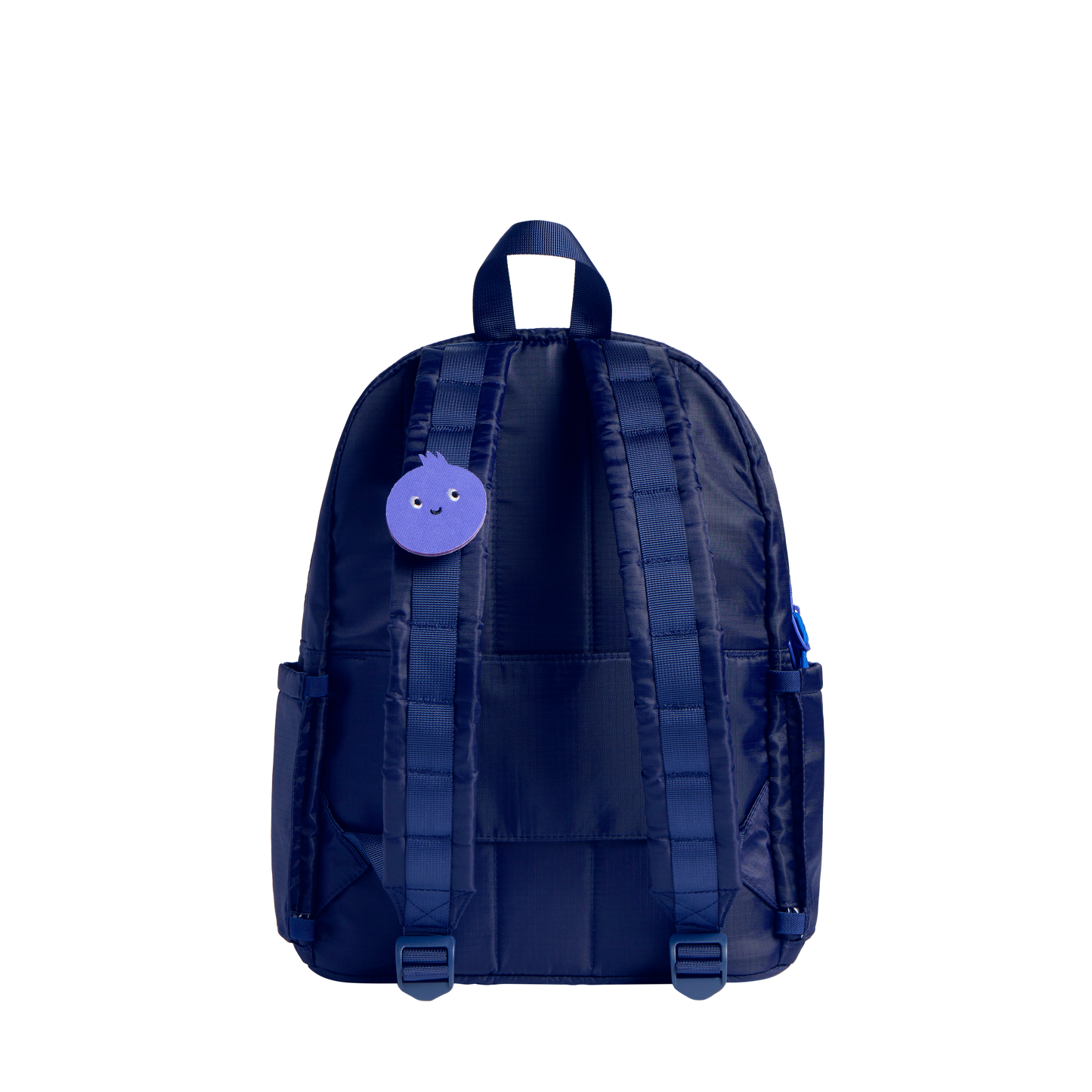 Blueberry Charm Blueberry