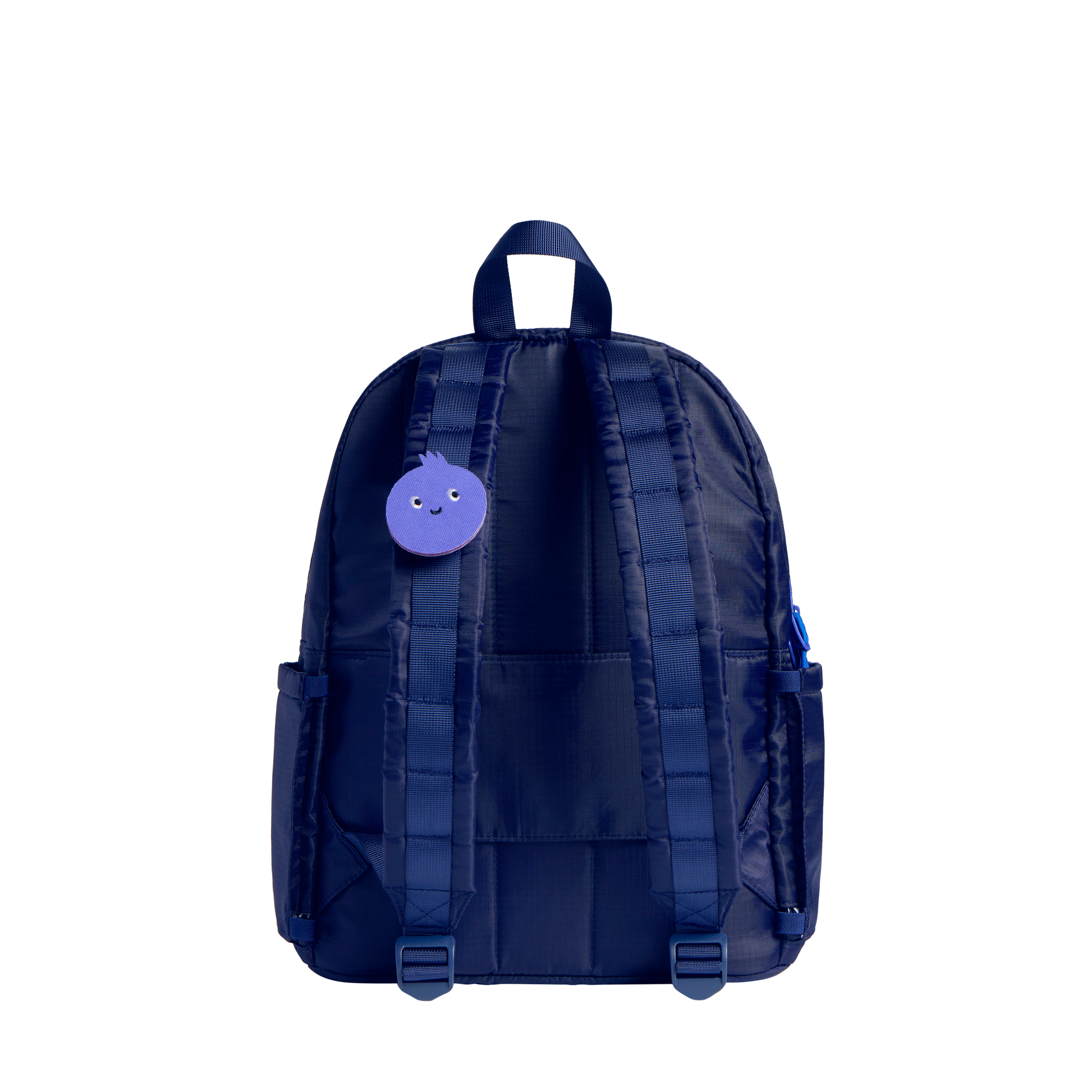 Blueberry Charm Blueberry