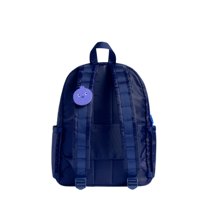 Blueberry Charm Blueberry