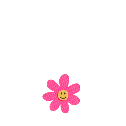 Daisy Charm Daisy
