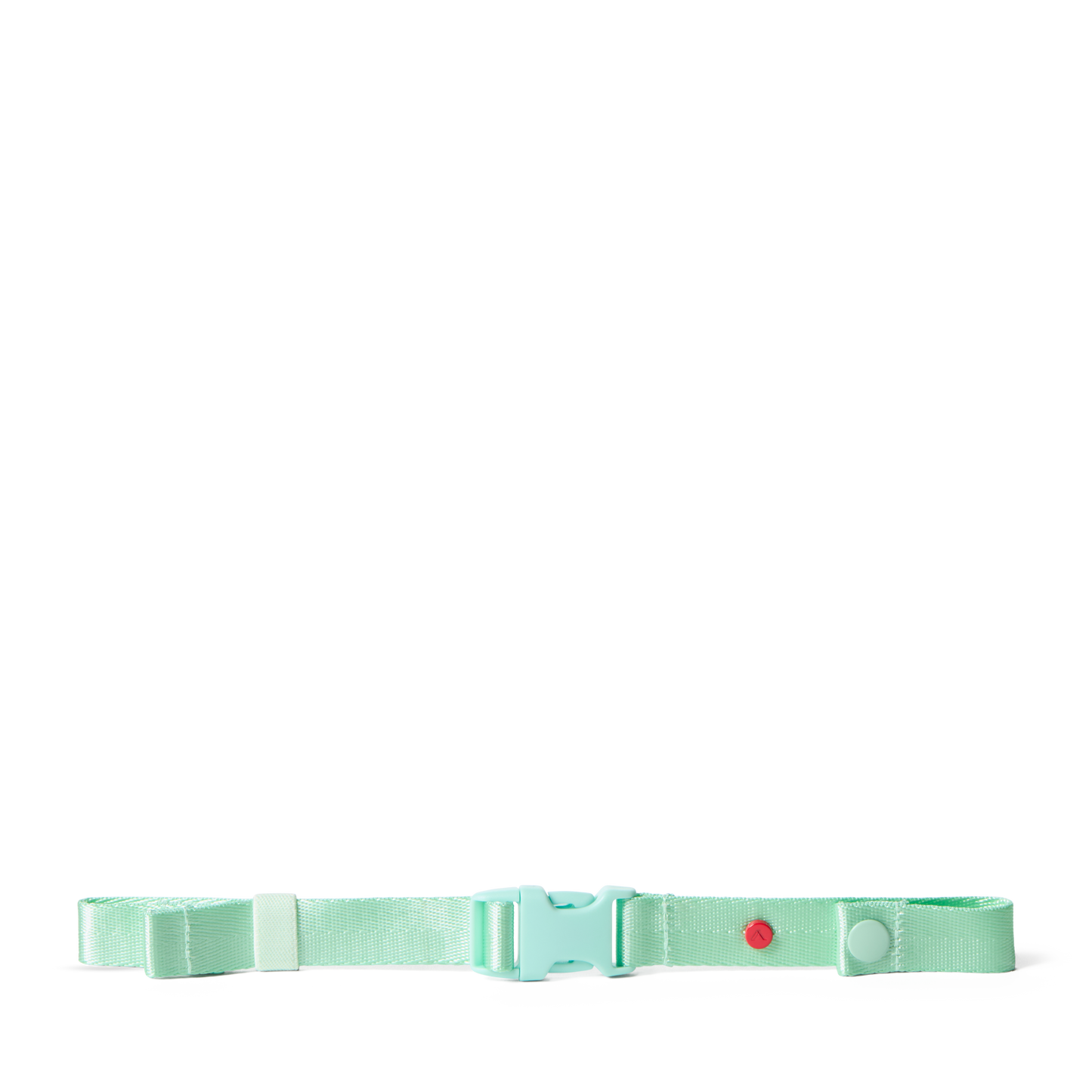 Detachable Chest Strap Mint