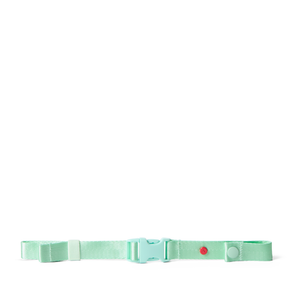 Detachable Chest Strap Mint